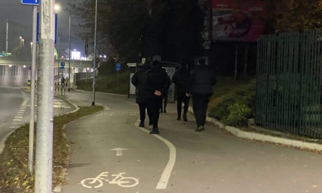 Nem ez volt az első eset, hogy a rezsimhez hűséges emberek szabadkaiakat támadtak meg