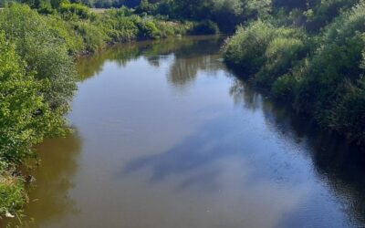 Rendkívüli helyzet több városban, kiöntöttek a folyók