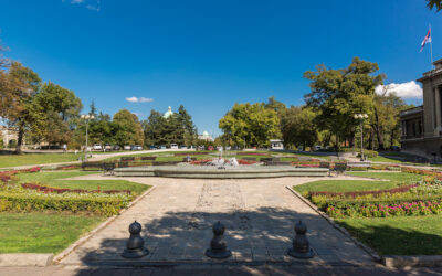 A trónörökös, Karađorđević herceg is Ćacilend eltávolítását követeli