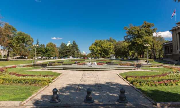 A trónörökös, Karađorđević herceg is Ćacilend eltávolítását követeli