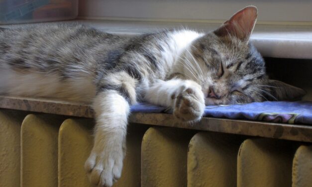 Ez az ideális hőmérséklet az otthonunkban