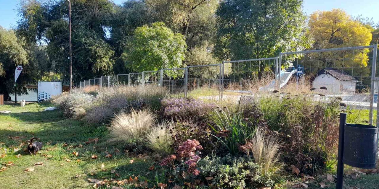 Magyarkanizsa nyerte a Virágos Magyarország környezet szépítő verseny határon túli fődíját