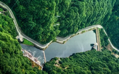 110 millió eurós megbízást kapott Szerbiában a magyar MVM többségi tulajdonában lévő cég