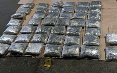 Koszovóból Szerbián át Európába csempészte a drogot egy nyugdíjas