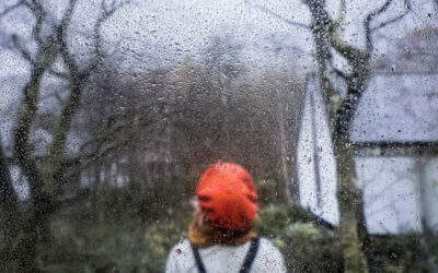 Nagyon enyhe lesz december első fele