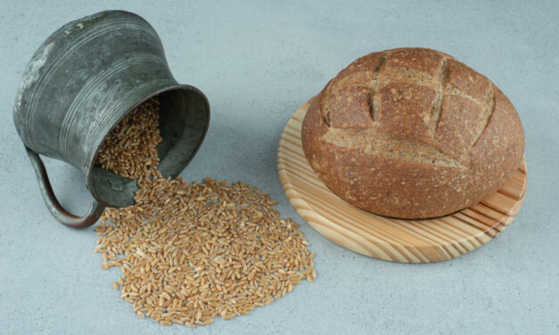 A búza hozamával nem lesznek gondok, de a minőségével igen