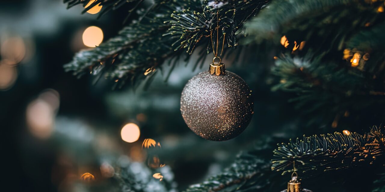 <span class="entry-title-primary">A bajmokiak saját kezükbe vették a falu központjának megszépítését</span> <span class="entry-subtitle">Az emberek otthonról hozott karácsonyi díszeikkel varázsoltak ünnepi hangulatot</span>