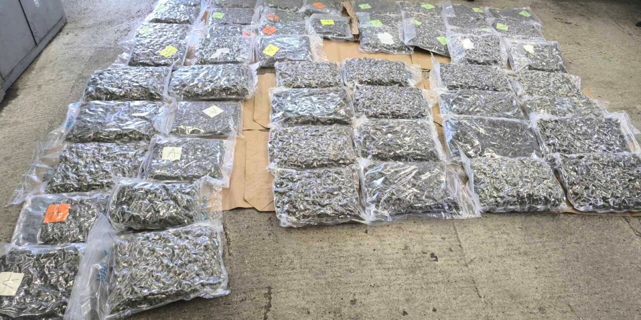 Fél mázsa füvet próbáltak átcsempészni a határon