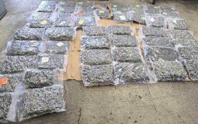 Fél mázsa füvet próbáltak átcsempészni a határon