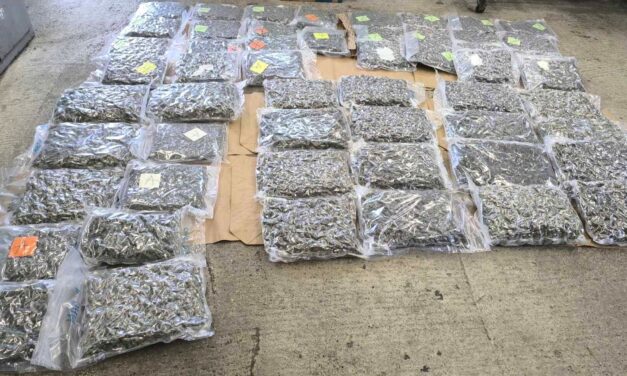 Fél mázsa füvet próbáltak átcsempészni a határon