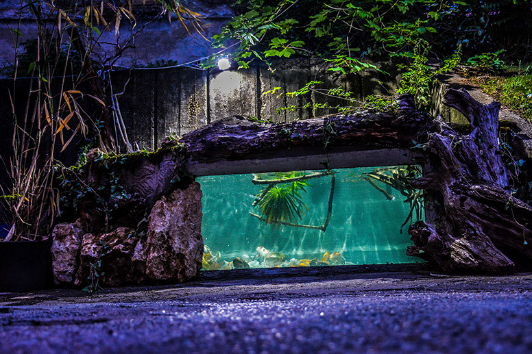 <span class="entry-title-primary">Fogytán az élelem, nincs látogató</span> <span class="entry-subtitle">A belgrádi Tropicarium a fennmaradás szélére került</span>