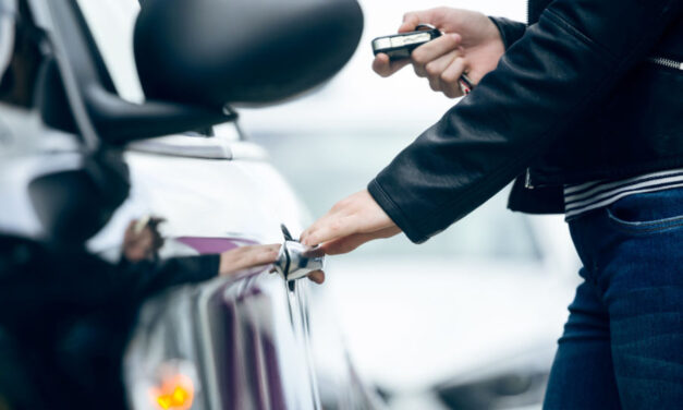 Kettős állampolgár is tagja volt az autótolvaj bűnbandának