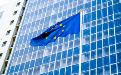 „Az elnök megszegte az alkotmányt, azzal, hogy az ország nem küldött képviselőt Brüsszelbe” A hatalom képviselője szerint az ellenzék „nem érti Vučić elnök államférfiként való viselkedését”