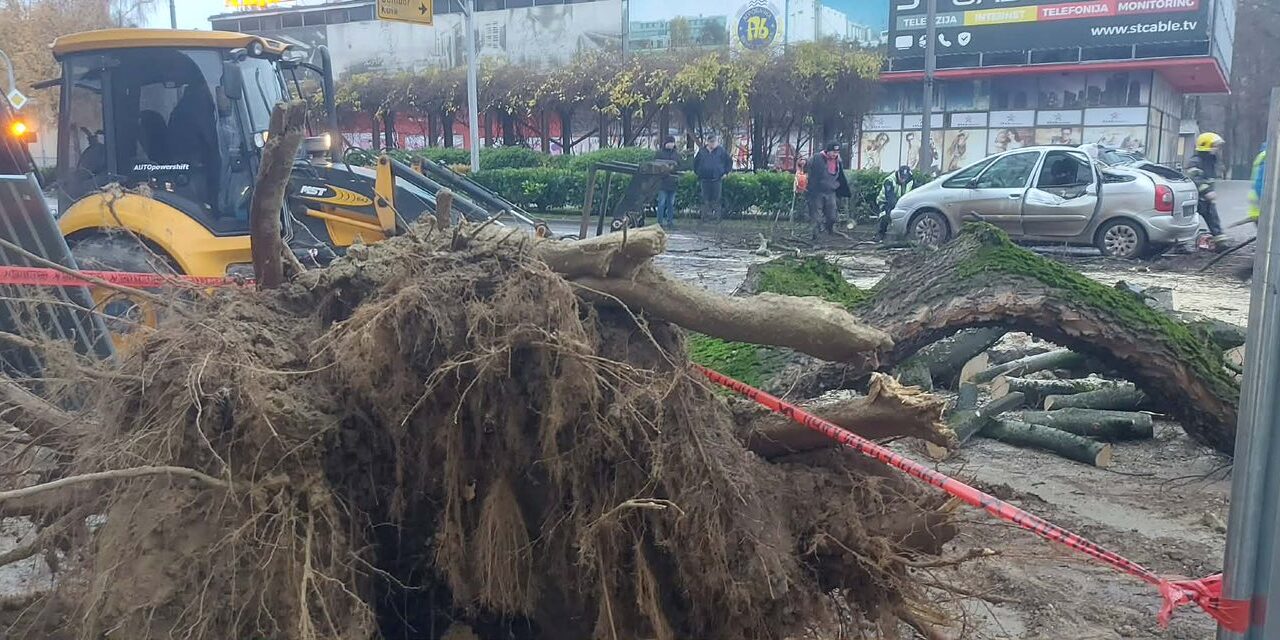 Kidőlt egy fa Topolyán a felújítás alatt álló szálloda előtt, rázuhant egy taxisra