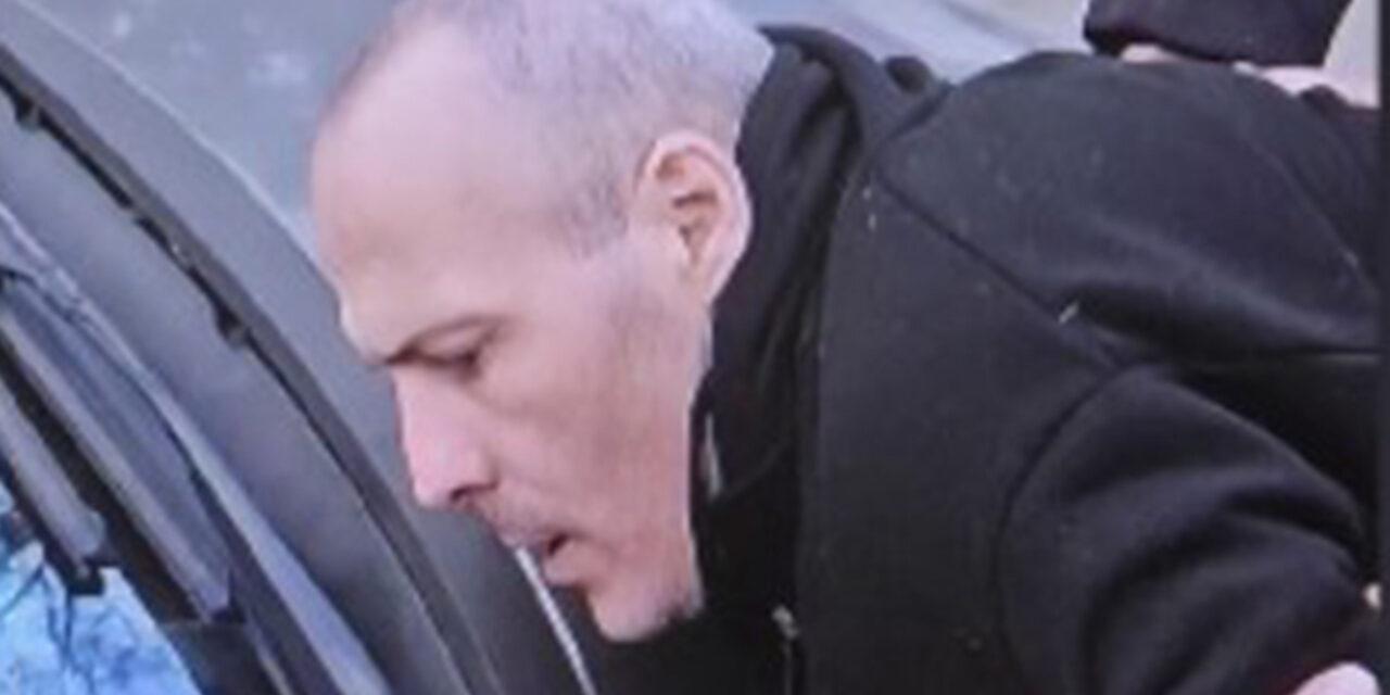 A késeléssel gyanúsított férfi állítja: Ćacilend őreként 150 ezer dinárt keres