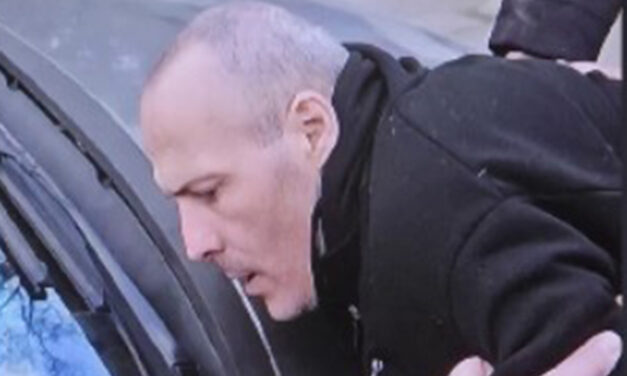 A késeléssel gyanúsított férfi állítja: Ćacilend őreként 150 ezer dinárt keres