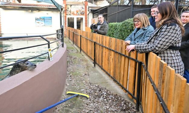 „Elfogadhatatlan, hogy aki állatokkal foglalkozik, felvegye őket a haláluk előtti állapotukban”