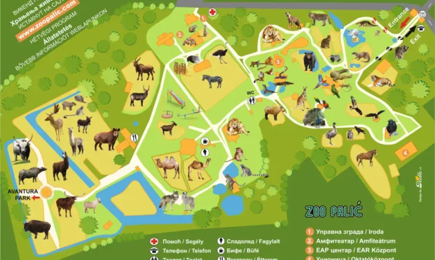 Pusztulnak és szenvednek az állatok a Palicsi Állatkertben (fotóval)