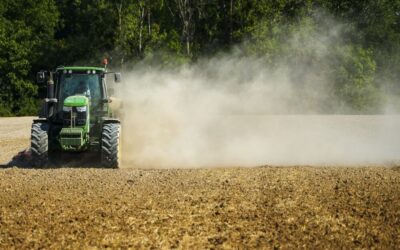 Eladó, kiadó most a földem