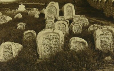 Szarajevó-szafari egykor és ma