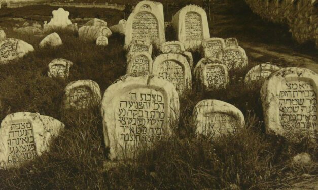 Szarajevó-szafari egykor és ma