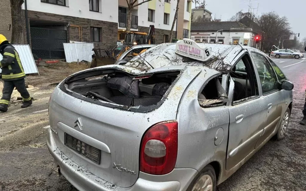 <span class="entry-title-primary">Szatmári: A további balesetek elkerülése érdekében, a többi fát is eltávolíttattuk a helyszínről</span> <span class="entry-subtitle">Szakértők nemrég felmérték a fák állapotát</span>