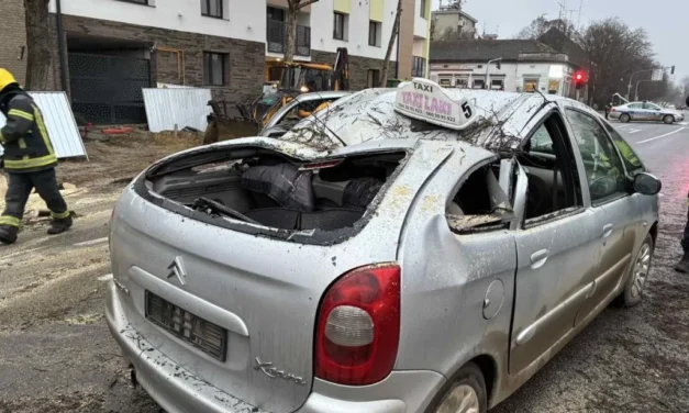 Szatmári: A további balesetek elkerülése érdekében, a többi fát is eltávolíttattuk a helyszínről