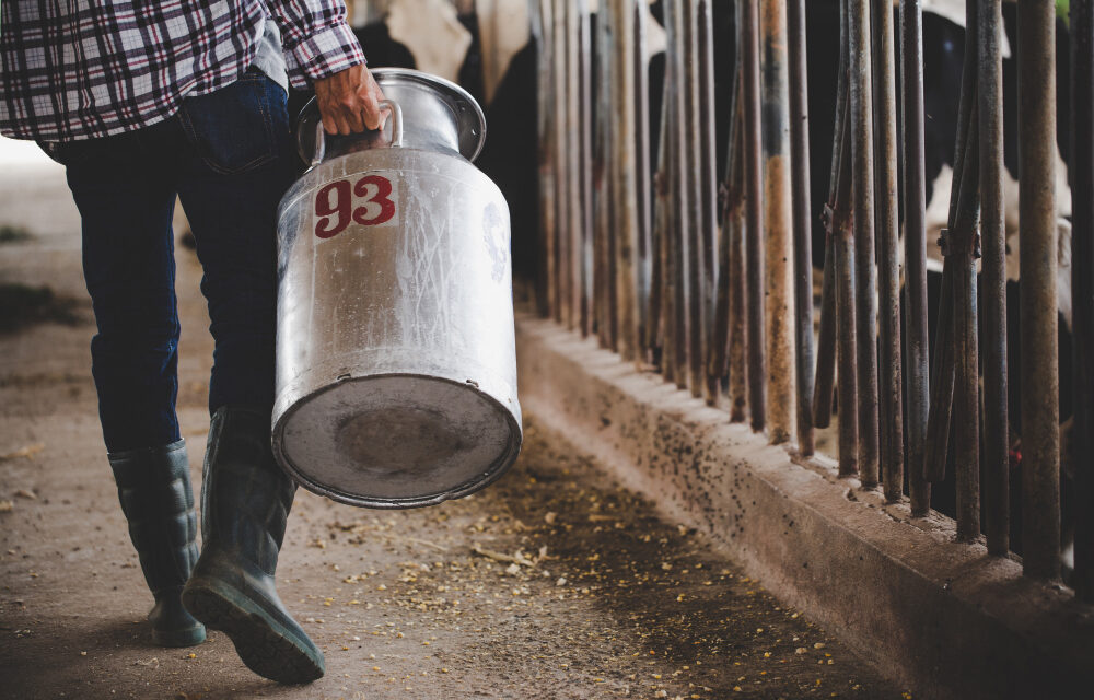 <span class="entry-title-primary">Védővámot kérnek a tejtermelők</span> <span class="entry-subtitle">Tiltakozásul kedden délben több tonna tejet fognak kiönteni a városháza előtt</span>