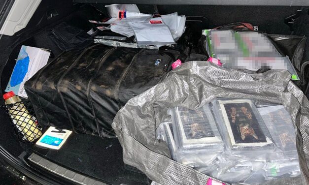 Nyolcvan kiló kokaint és egy mázsa füvet foglaltak le a belügyminisztérium nemzetközi akciója során