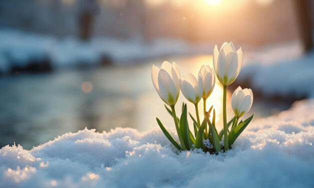 Itt a legújabb előrejelzés, február elejéig ilyen időnk lesz