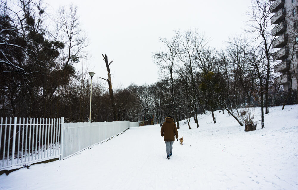 Félmilliós kártérítést is kaphat, ha elcsúszik a jégen