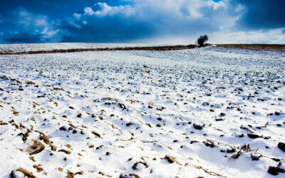 A hó jót tesz a mezőgazdaságnak