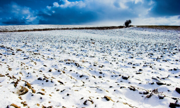 A hó jót tesz a mezőgazdaságnak