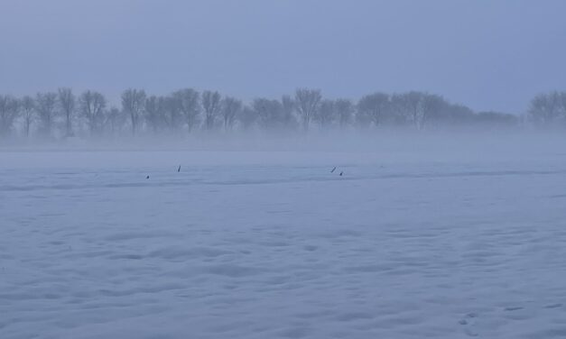 Ha marad a rendkívüli helyzet, online oktatással indul a második félév