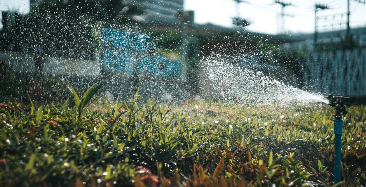 Miért kritikus a homokszűrő tisztítása az öntözőrendszeredben?