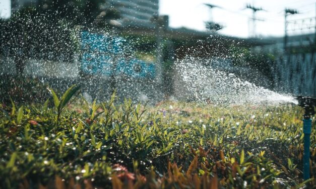 Miért kritikus a homokszűrő tisztítása az öntözőrendszeredben?