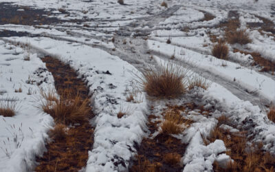 Enyhül az időjárás, olvad a hó