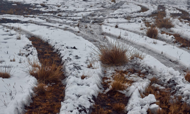 Enyhül az időjárás, olvad a hó
