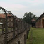 81 éve szabadították fel Auschwitzot