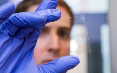 Itt a rezsicsökkentő ablak