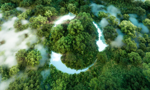 A jövő nem egy opció