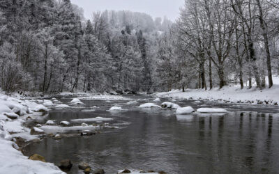 Feloldották az árvízvédelmi intézkedéseket
