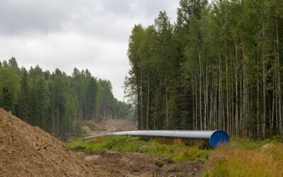 Az idén megkezdődik a kőolajvezeték építése? A szerbiai szakasz 113 kilométer hosszú lenne