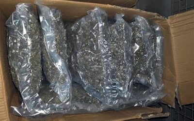 Merre tart a kruševaci marihuána-ügy?