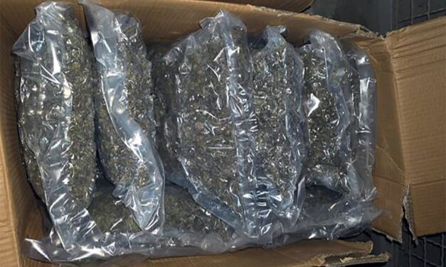 A nagy drogfogás gyanúsítottja egy haladó képviselő?