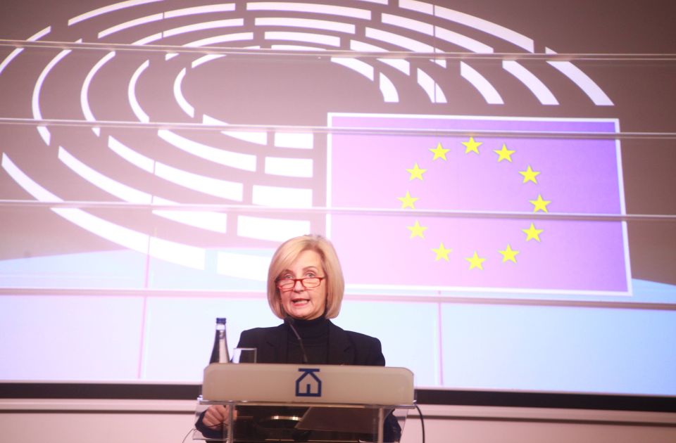 Az Európai Parlament küldöttségének vezetője: aggasztó jelentéseket kaptunk