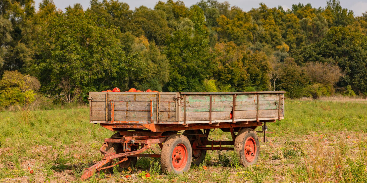 Másfél év börtön a halált okozó, elszabadult pótkocsi miatt