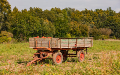Másfél év börtön a halált okozó, elszabadult pótkocsi miatt
