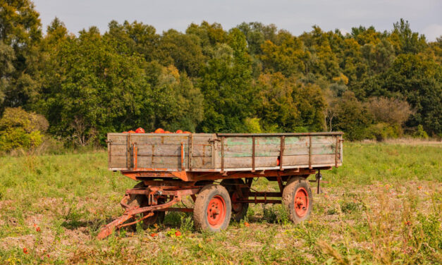 Másfél év börtön a halált okozó, elszabadult pótkocsi miatt