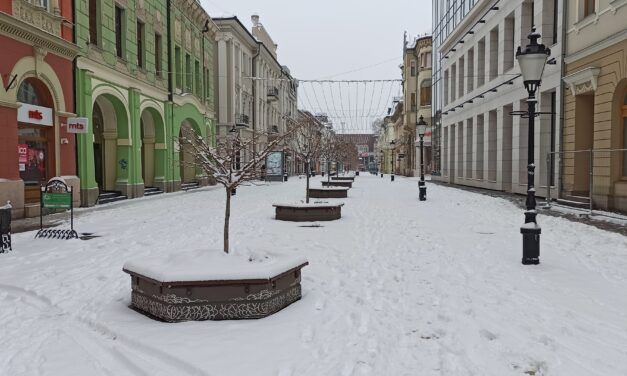 Befagyott a Palicsi-tó partja, -15 fokot mértek Szabadkán